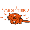 meditating cat