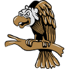 vulture