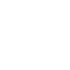 Fallschirmspringen Evolution Skydiver