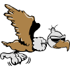 Vulture witty flying sunglasses
