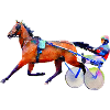 trotteur