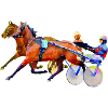 trotteur
