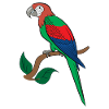 Parrot macaw drawing