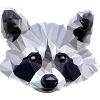 Süßer Waschbär