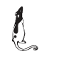 Pet Rat
