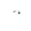 Santa Muerte