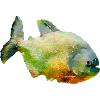 piranha