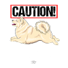 mittelguard4