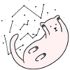 Space Cat Version 2