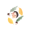 Hedgehog