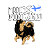 lappfinland