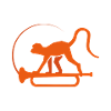 music monkey
