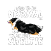sheltienormal2