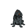 pug