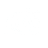 Escargot blanc 2