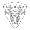 Wild lion