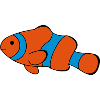 Clown Fish Drawing