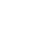 Tattoo inspired skull / spider