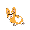 Corgi
