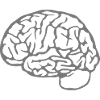 brain brain 23030