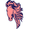 cheval criniere