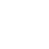 Fencing Noun