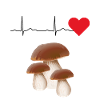 I funghi porcini raccolgono i funghi raccoglitori di funghi