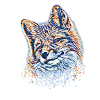 Fuchs