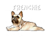 Bulldog français