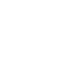 The couch