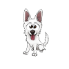Caly, der Schweizer weiße Schäferhund