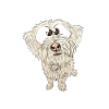 Fouky, le berger des pyrénées