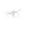 horses