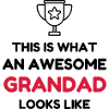 Papy Papi Grand-Père Retraite famille
