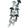 JELLYFISH