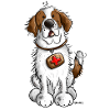 Cute Saint Bernard Dog