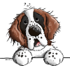 Happy Saint Bernard