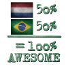 Pays-bas brésil néerlandais néerlandais