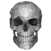 Grey Polygon Skull - Geometric Skeleton Head