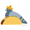 Taco, Taco, Colombe, Colombe - vivan las palomas