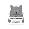 British Shorthair cat