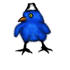 Chicks blue