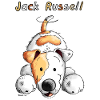 Playing Jack Russell
