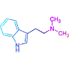 Ayahuasca DMT molecule N,N-dimethyltryptamine