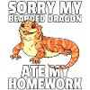 Bearded Dragon Beard Dragon Lizard Reptile