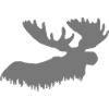 Moose
