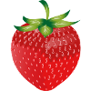 bright red fresh strawberry