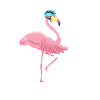 Fahrrad Rad Fahren Flamingo