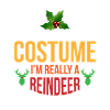 Reindeer costume