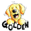 Funny Golden Retriever